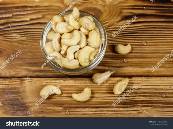 核心亮点