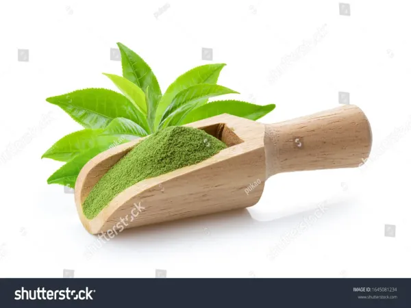 核心亮点
