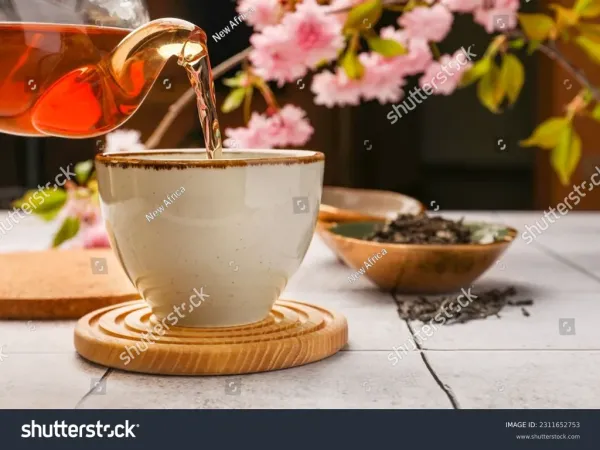 云南古树普洱茶饼 2019年份